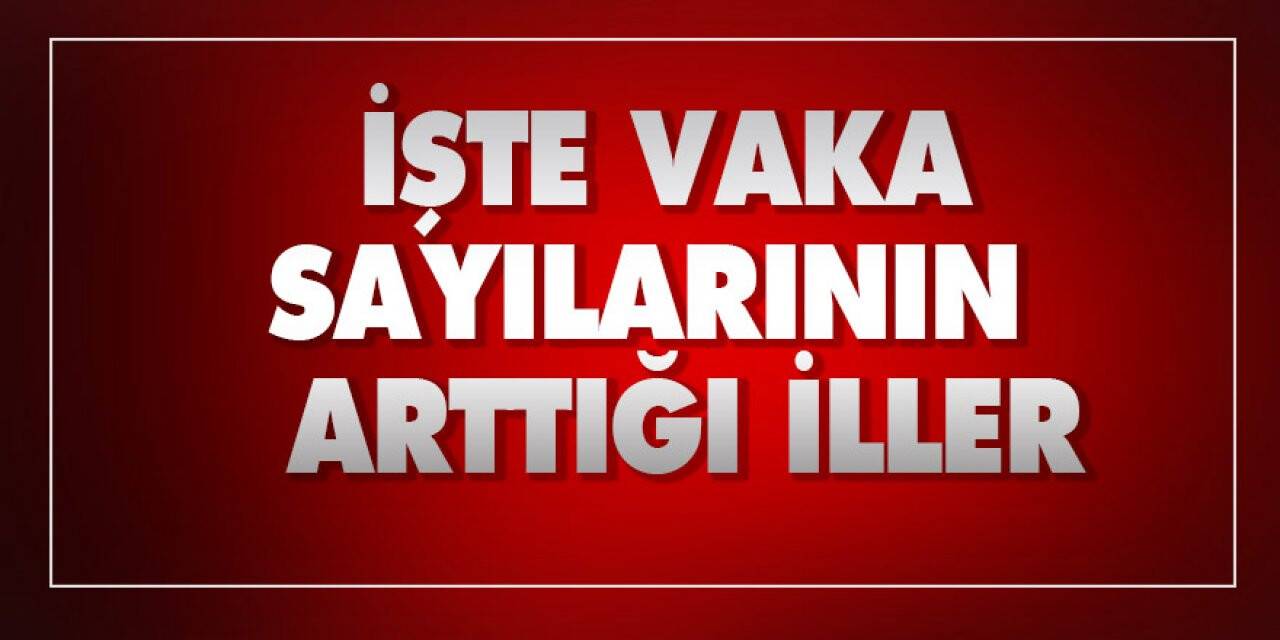 İşte Vaka sayılarının arttığı iller