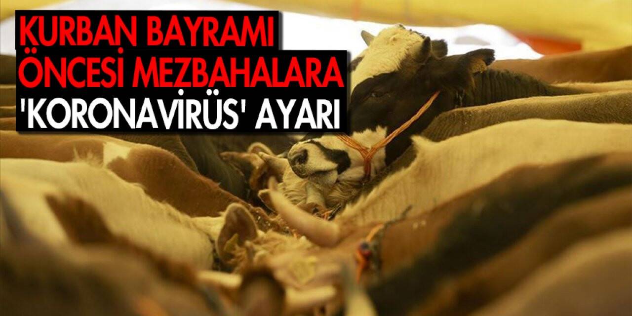 Kurban Bayramı öncesi mezbahalara 'koronavirüs' ayarı