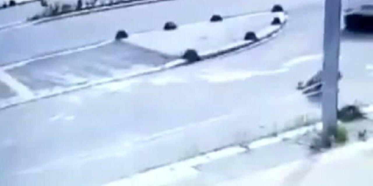 Vahşet kameralara yansıdı