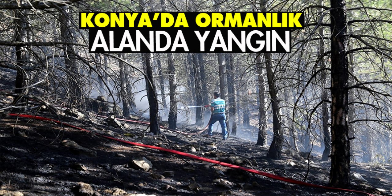Konya’da ormanlık alanda yangın