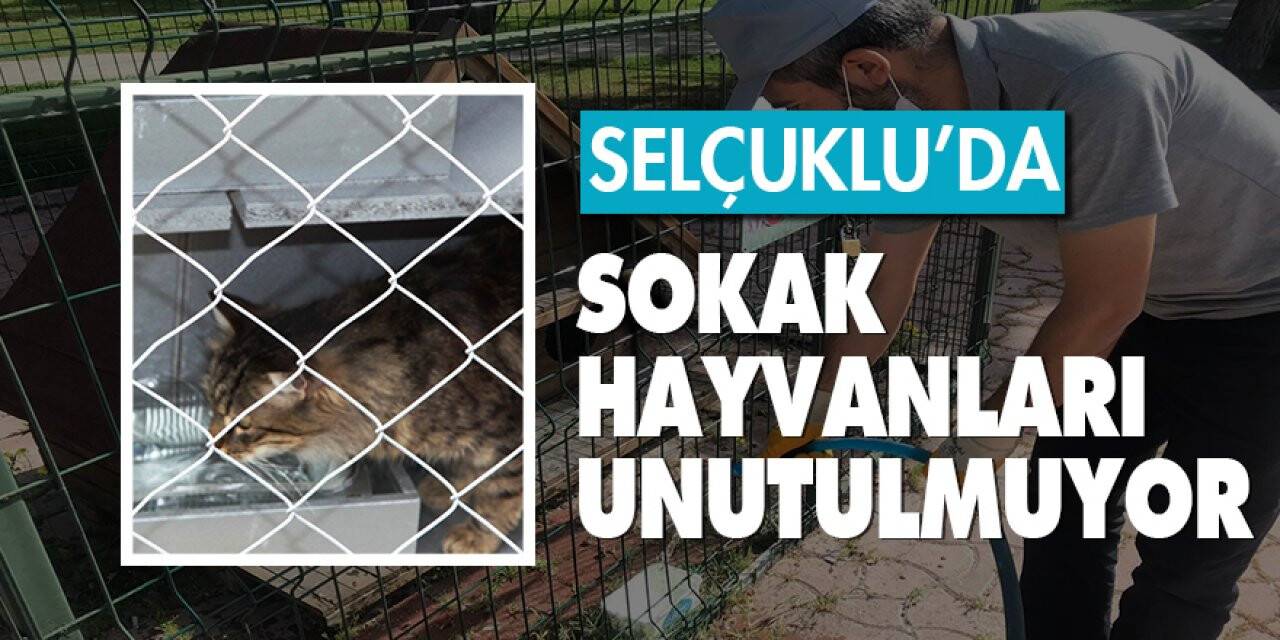 Selçuklu’da sokak hayvanları unutulmuyor