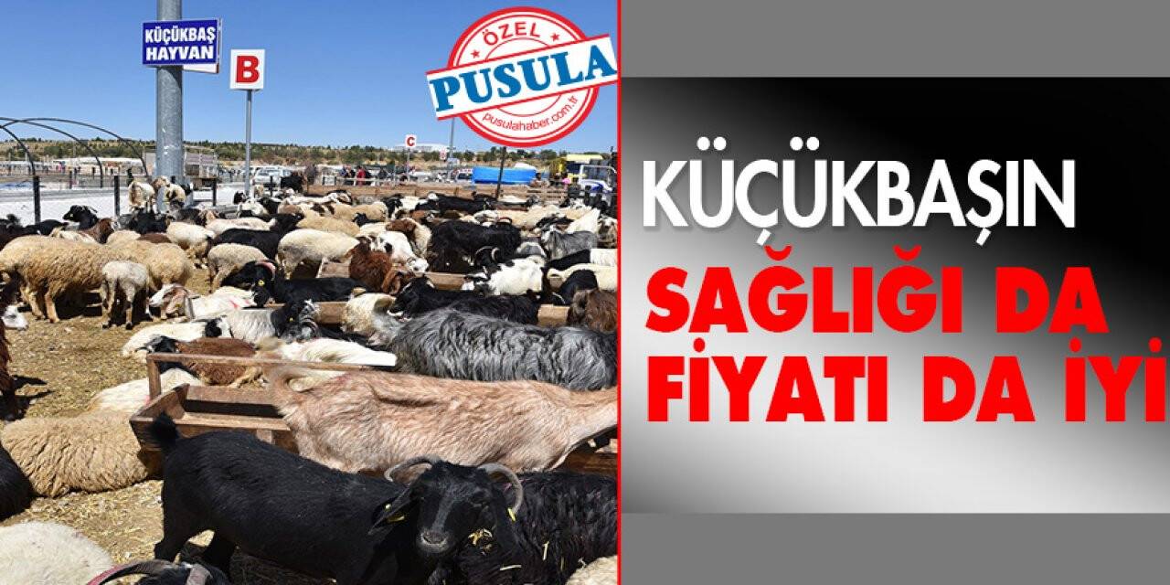 KÜÇÜKBAŞIN SAĞLIĞI DA FİYATI DA İYİ