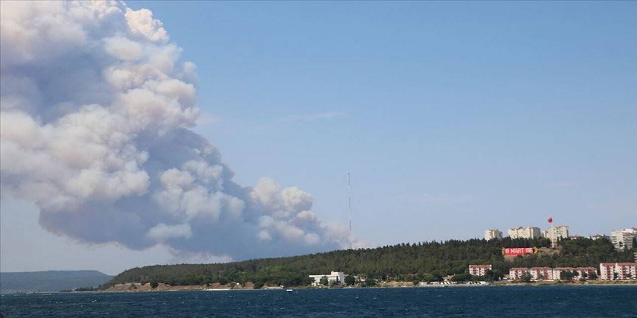Gelibolu Yarımadası'nda orman yangını çıktı