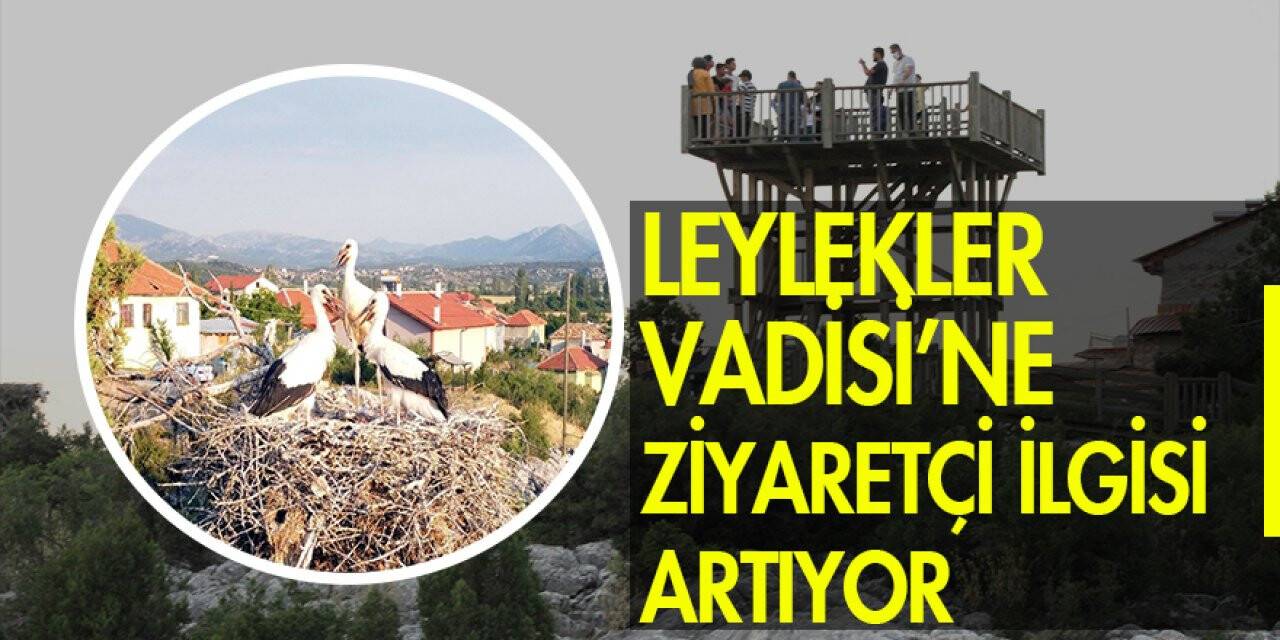 Beyşehir Gölü Milli Parkı’ndaki Leylekler Vadisi’ne ziyaretçi ilgisi artıyor