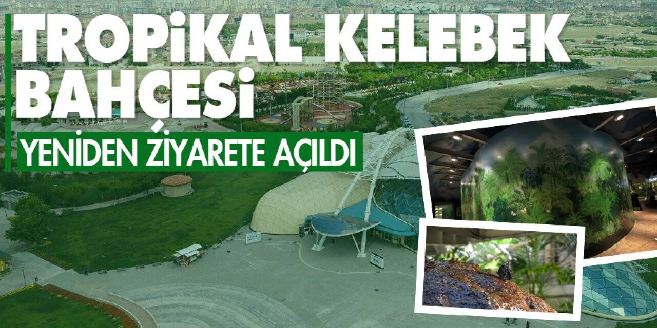 Tropikal Kelebek Bahçesi yeniden ziyarete açıldı