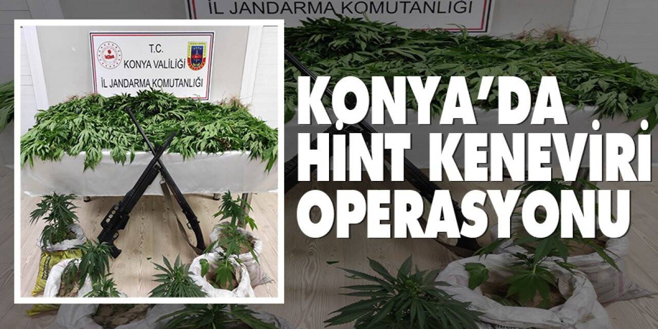 Konya’da Hint keneviri operasyonu
