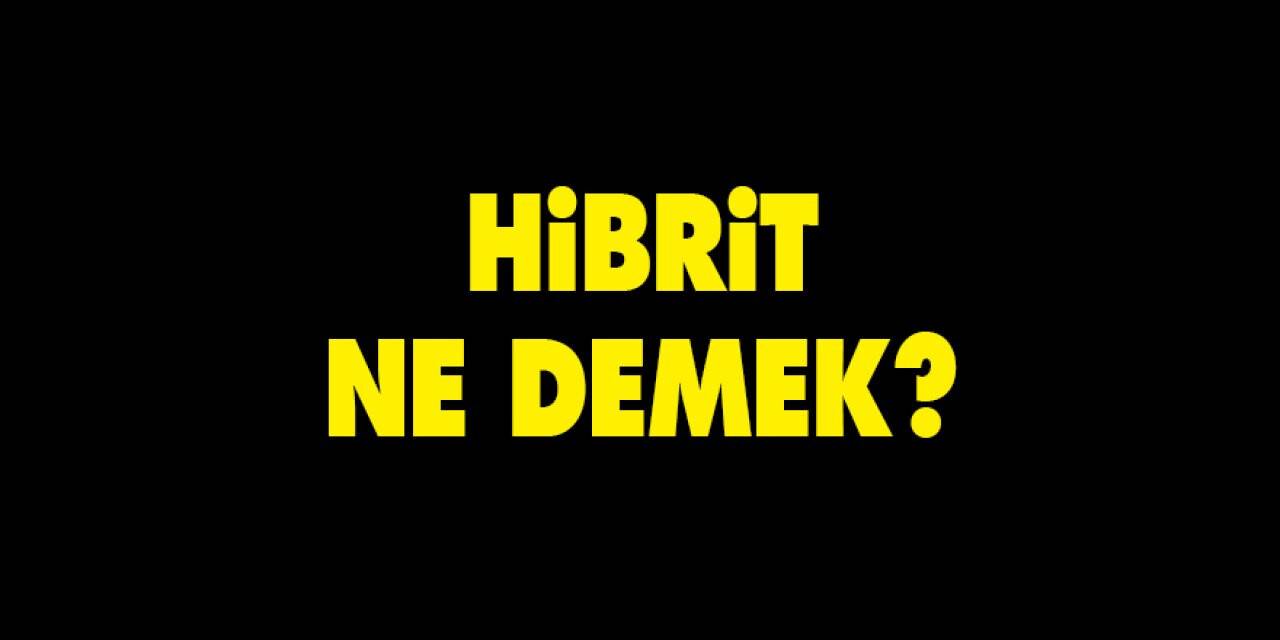Hibrit ne demek?