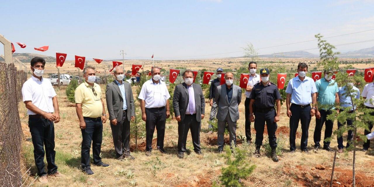 Beyşehir’de 15 Temmuz Şehitler Ormanı Ve Şehit Aileleri Ziyaret Edildi.