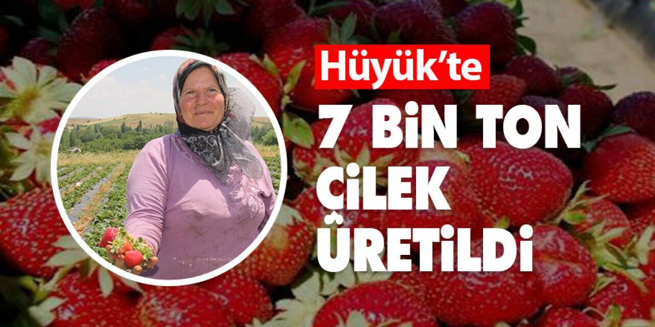 Konya Hüyük’te 7 bin ton çilek üretildi