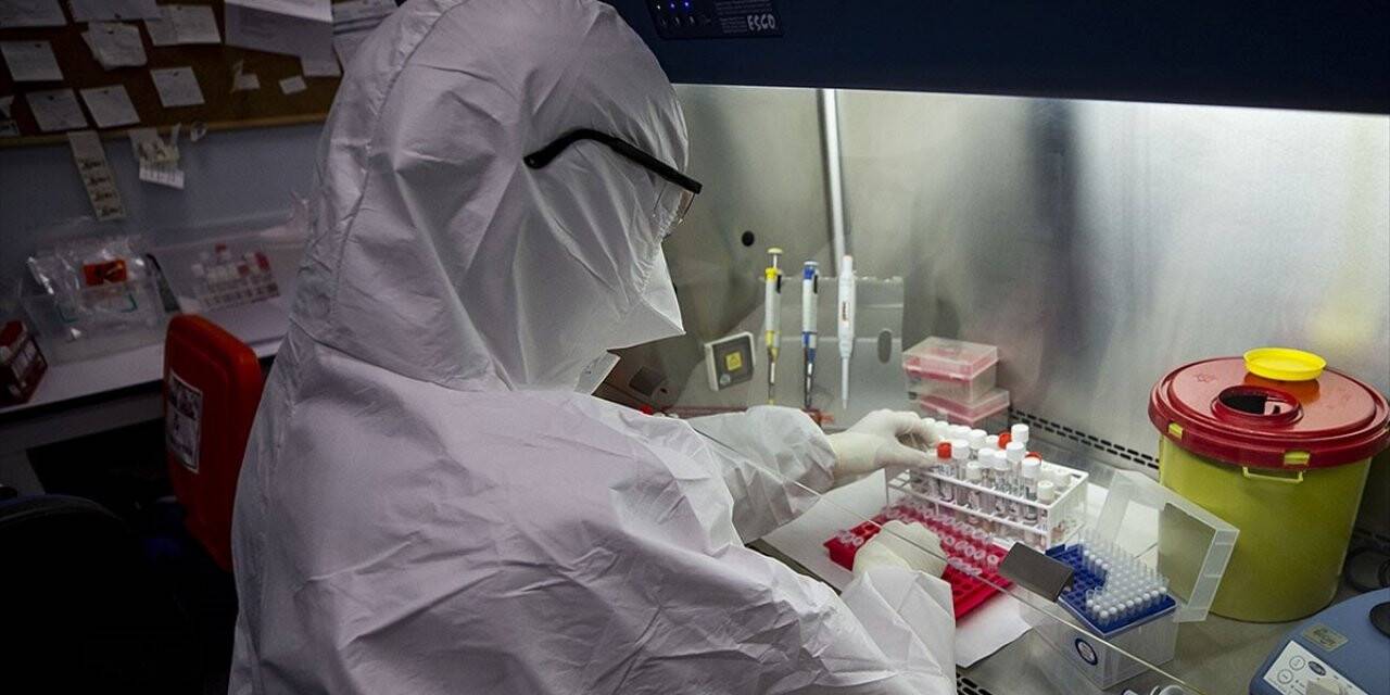 Kovid-19'da en yüksek günlük test sayısına ulaşıldı