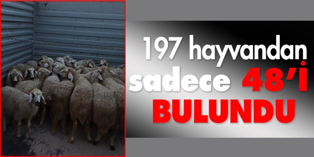 Konya'da küçükbaş hayvan çalan şüpheliler yakalandı