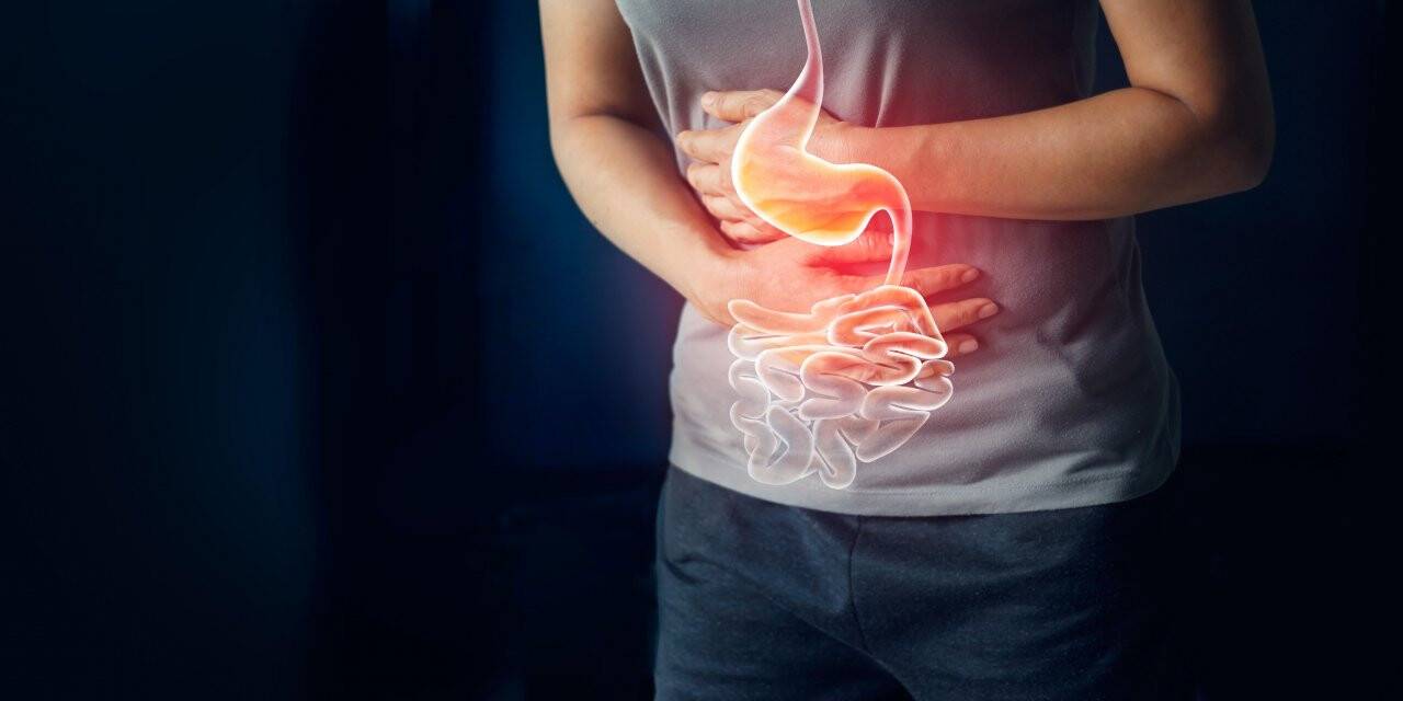En Duygusal Organ: Bağırsaklarımız