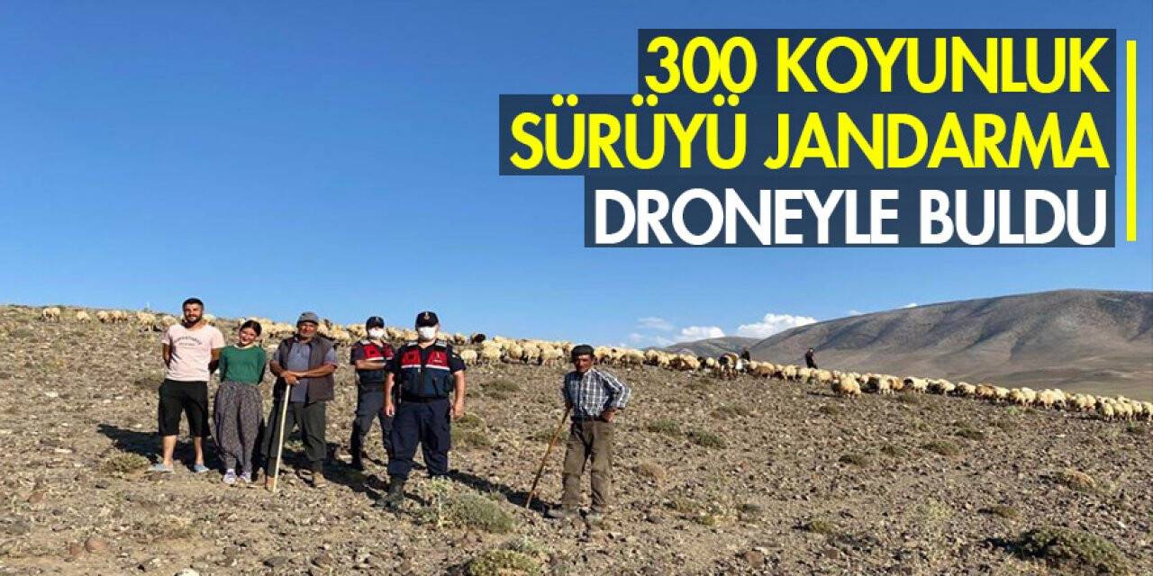 Konya'da kaybolan koyunlar droneyle bulundu
