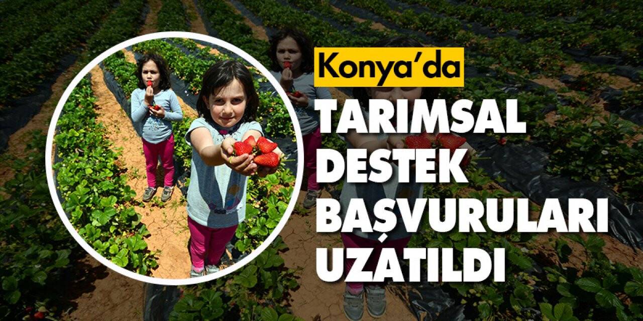 Konya Büyükşehir Belediyesi tarımsal destek başvurularını 7 Ağustos’a kadar uzattı