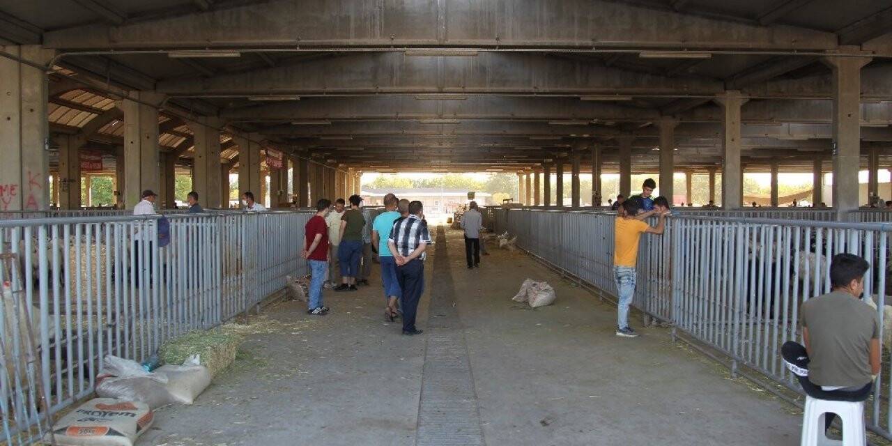 Konya’da kurban pazarında pandemi sakinliği