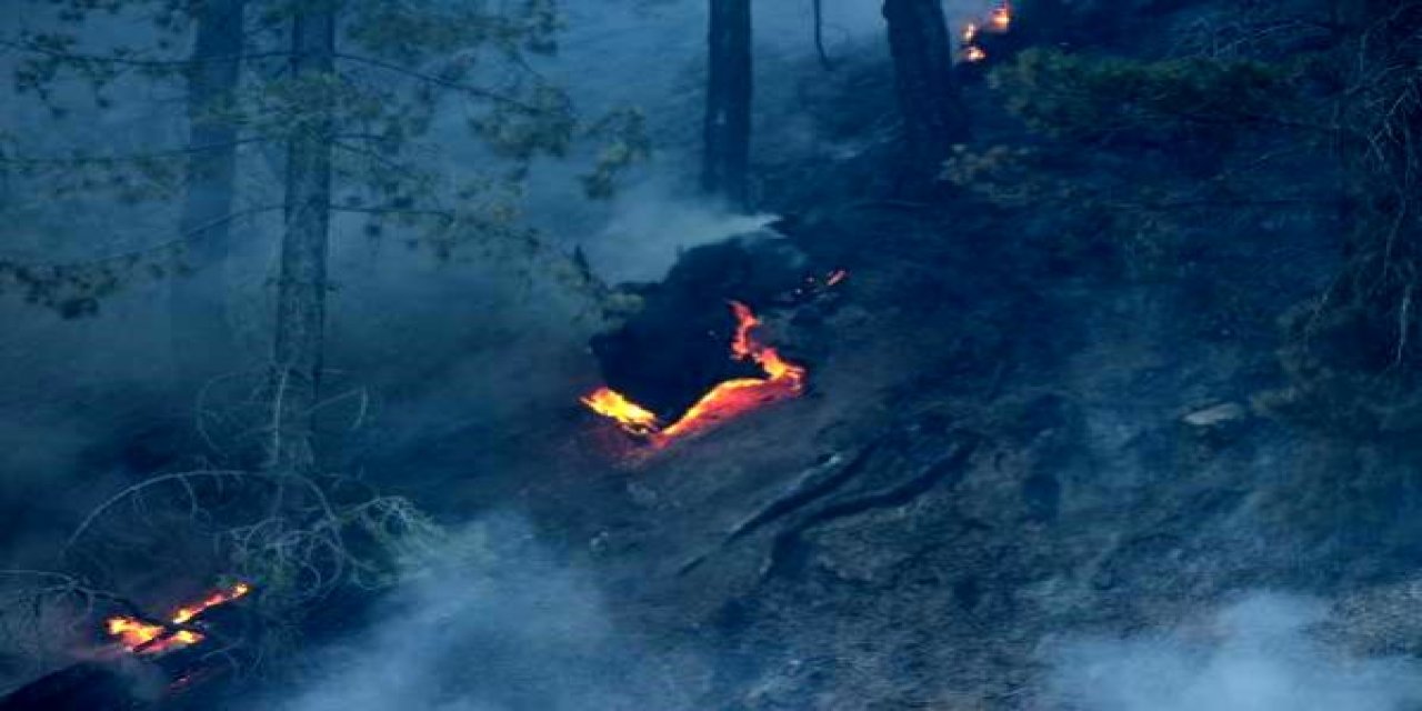 Konya'daki orman yangınında son durum