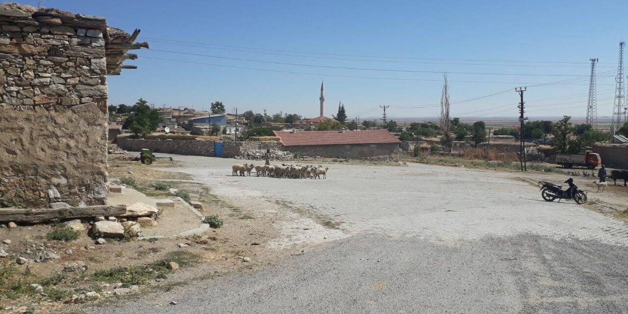 Konya'daki kayıp küçükbaş hayvanları AFAD ekipleri buldu