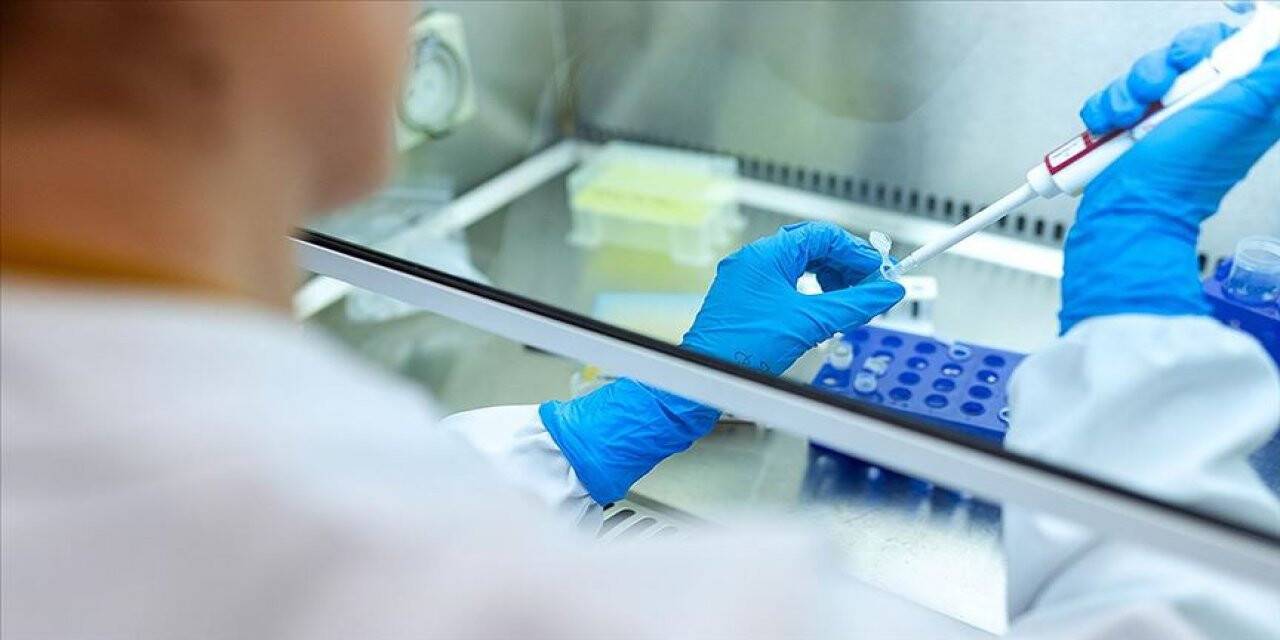Alman Paul-Ehrlich Enstitüsü Başkanı: Koronavirüs aşısı konusunda umutluyum