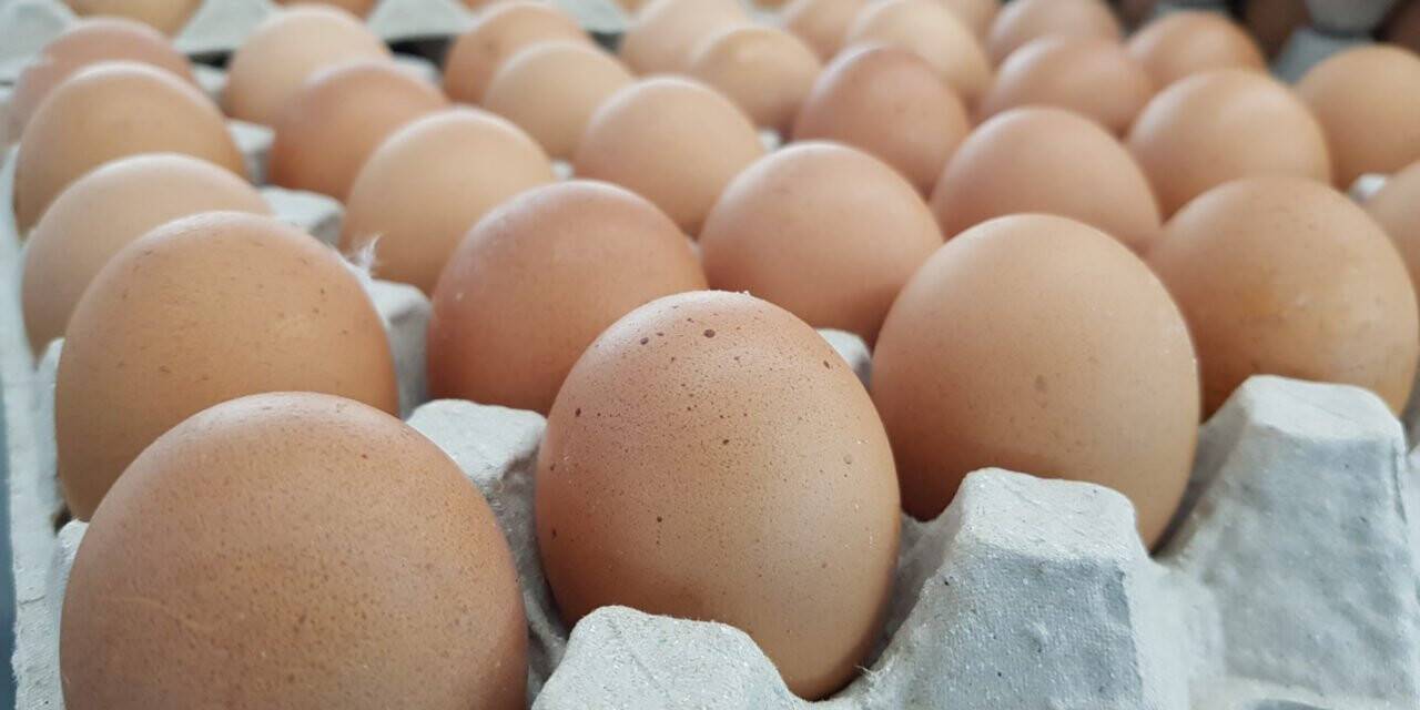 Konya’da Temmuz’un Zam Şampiyonu Yumurta