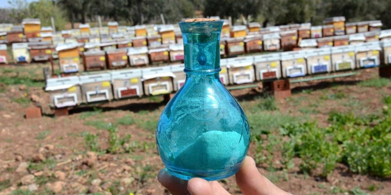 Arı zehrinin gram fiyatı dudak uçuklatıyor