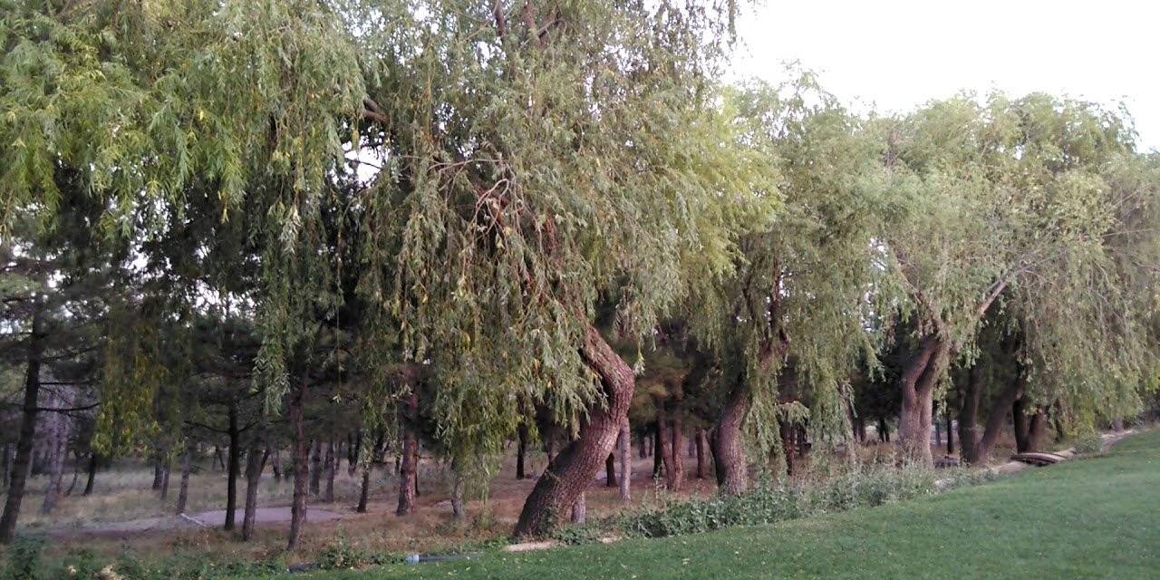Genelge gönderildi, Konya’da artık ateş yakılmayacak