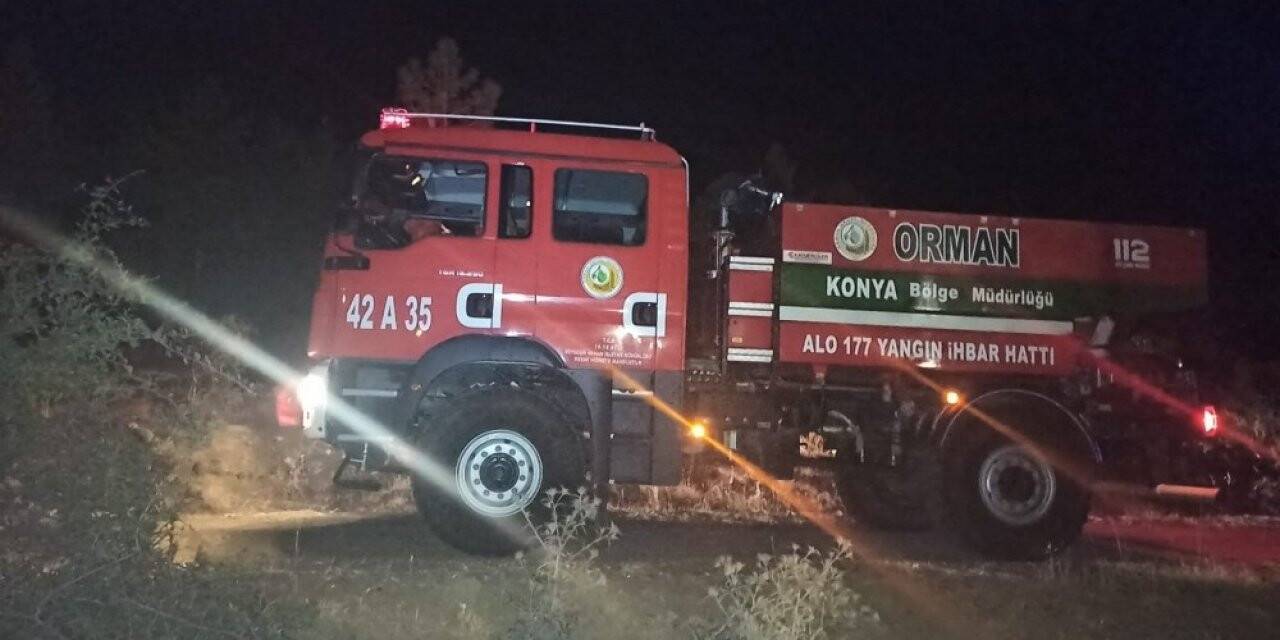 Konya Kuğulu Parkta yangın paniği