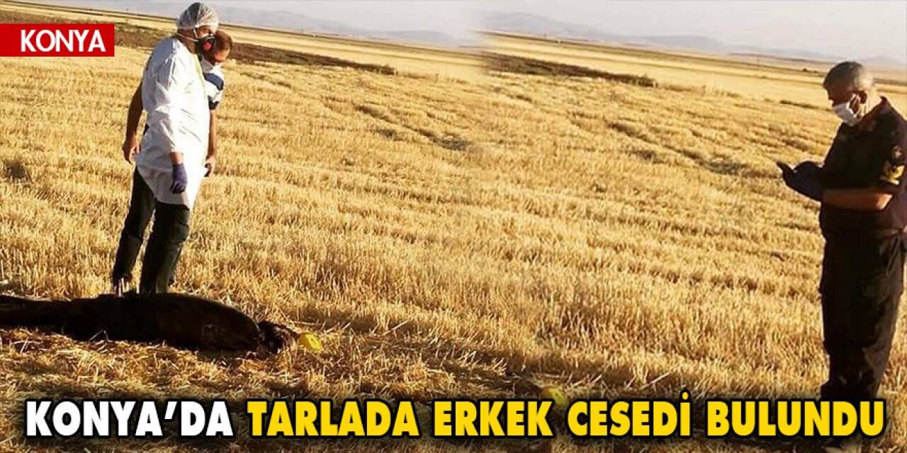 Konya'da tarlada erkek cesedi bulundu