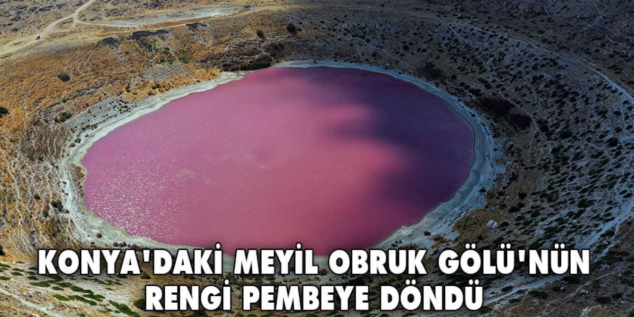 Konya'daki Meyil Obruk Gölü'nün rengi pembeye döndü