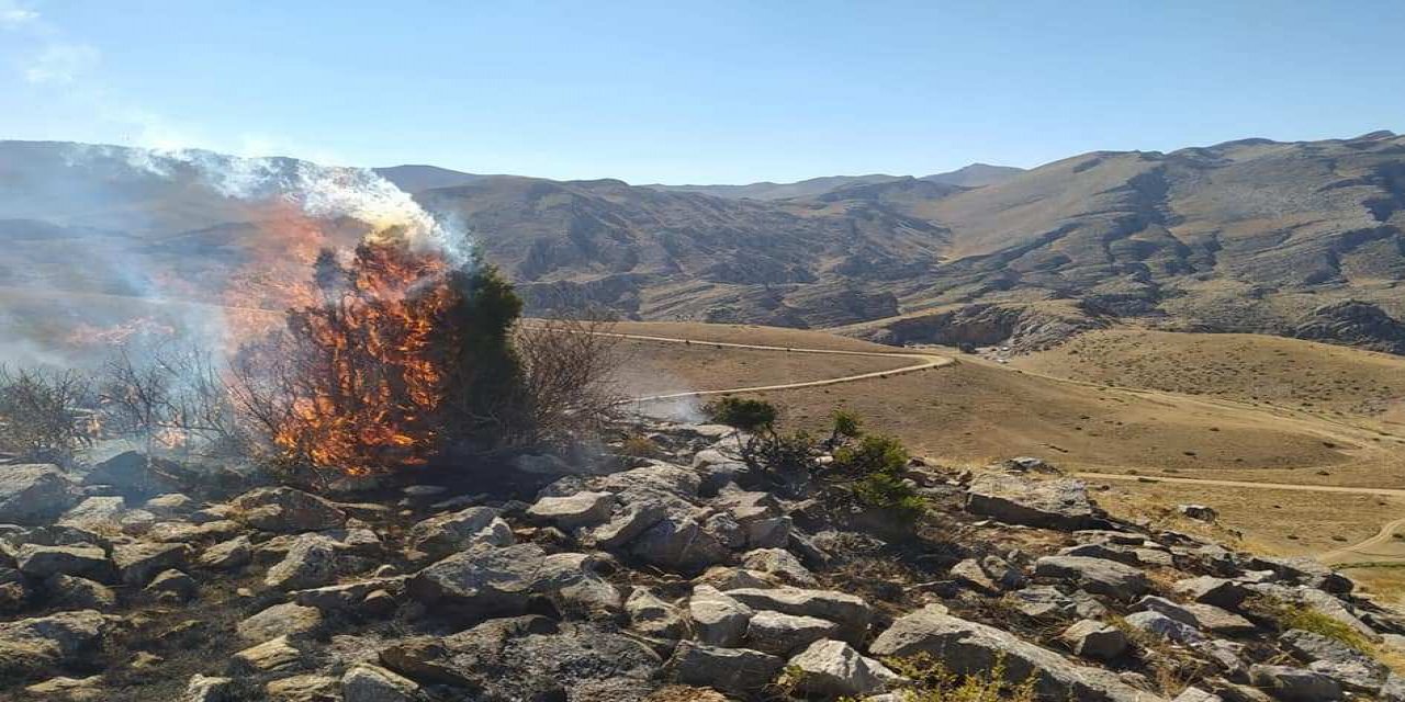 Konya'da Sarıot Yaylası'nda yangın