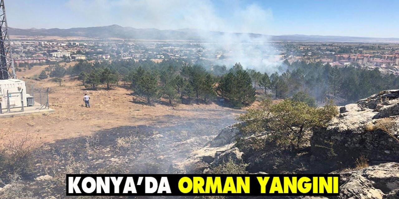 Konya’da orman yangını
