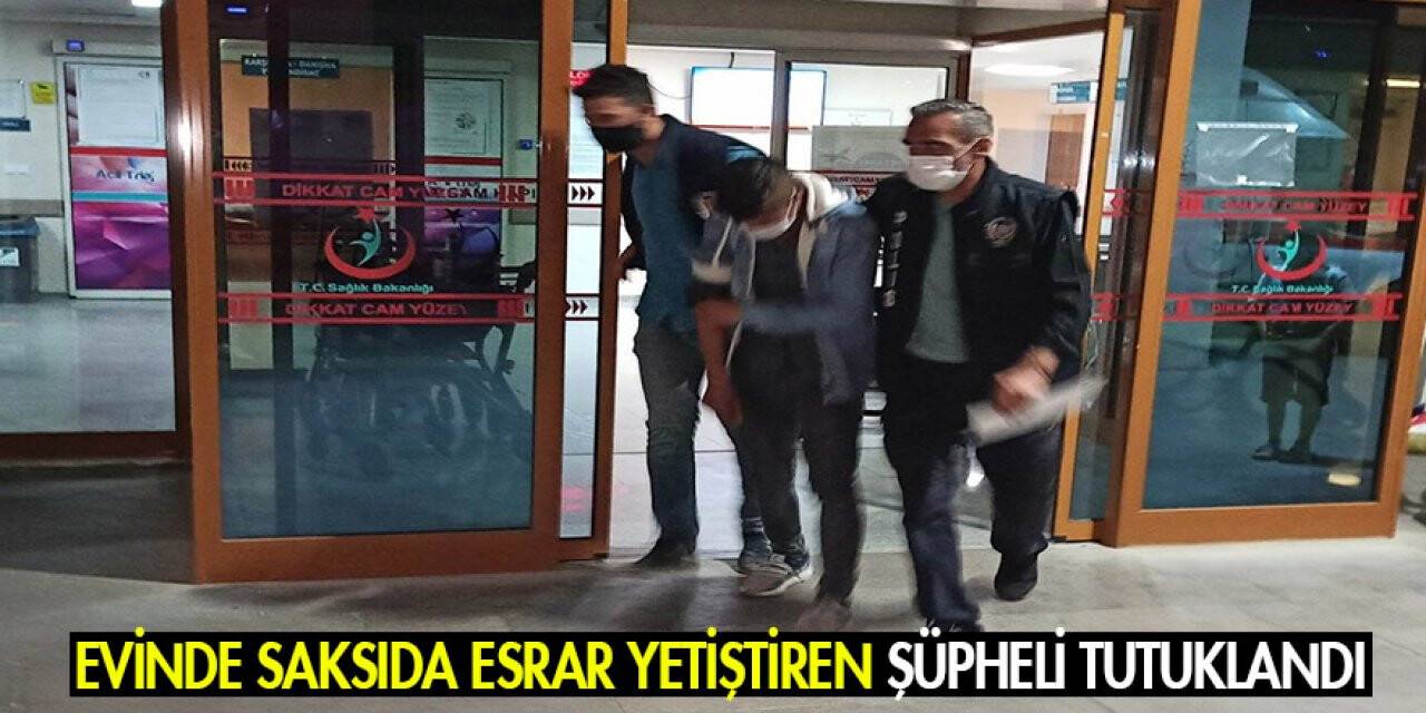 Konya'da evinde saksıda esrar yetiştiren şüpheli tutuklandı