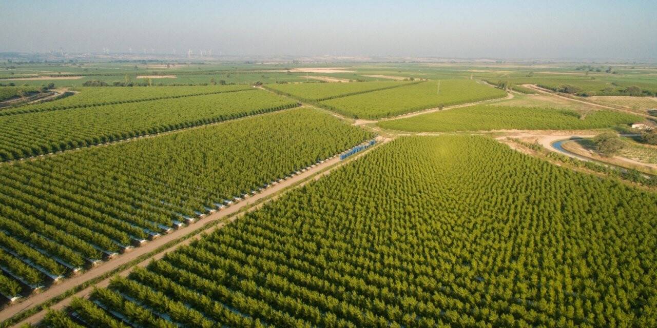 Anadolu Etap’ın Konya Karapınar Çiftliği, “TSE COVID-19 Güvenli Üretim Belgesi” aldı