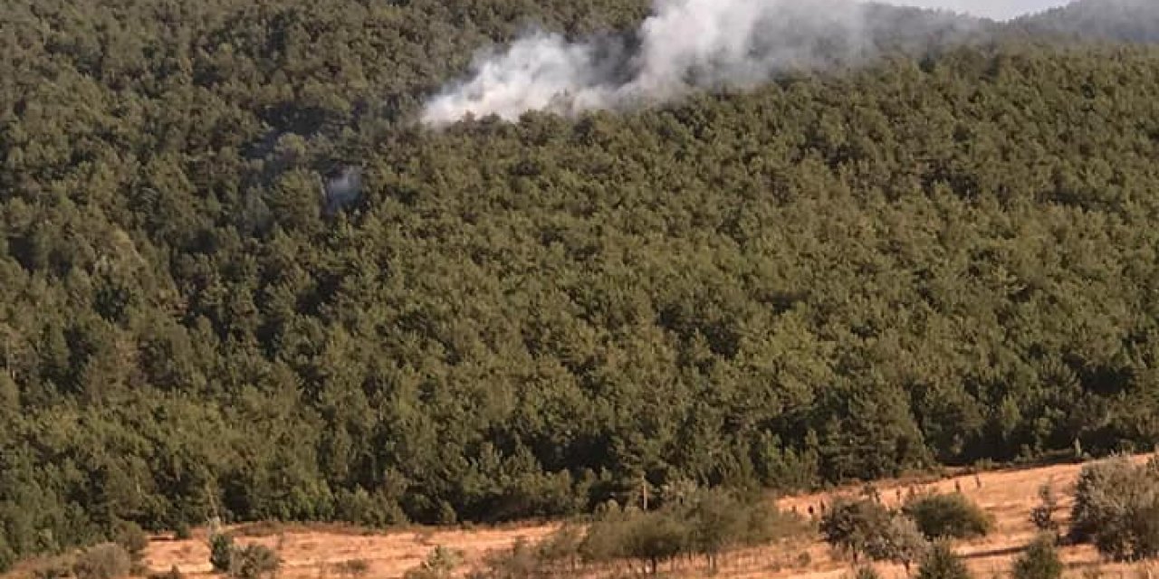 Konya'daki ormanlık alanda çıkan yangın büyümeden söndürüldü