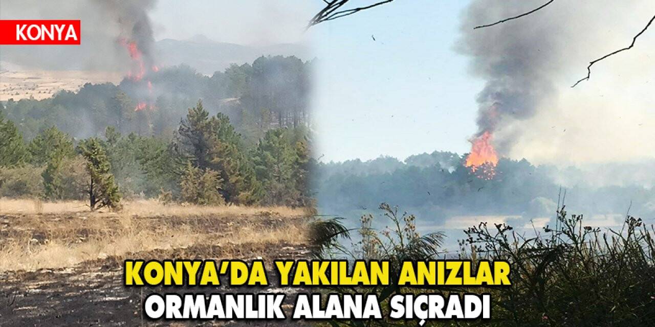 Konya’da yakılan anızlar ormanlık alana sıçradı