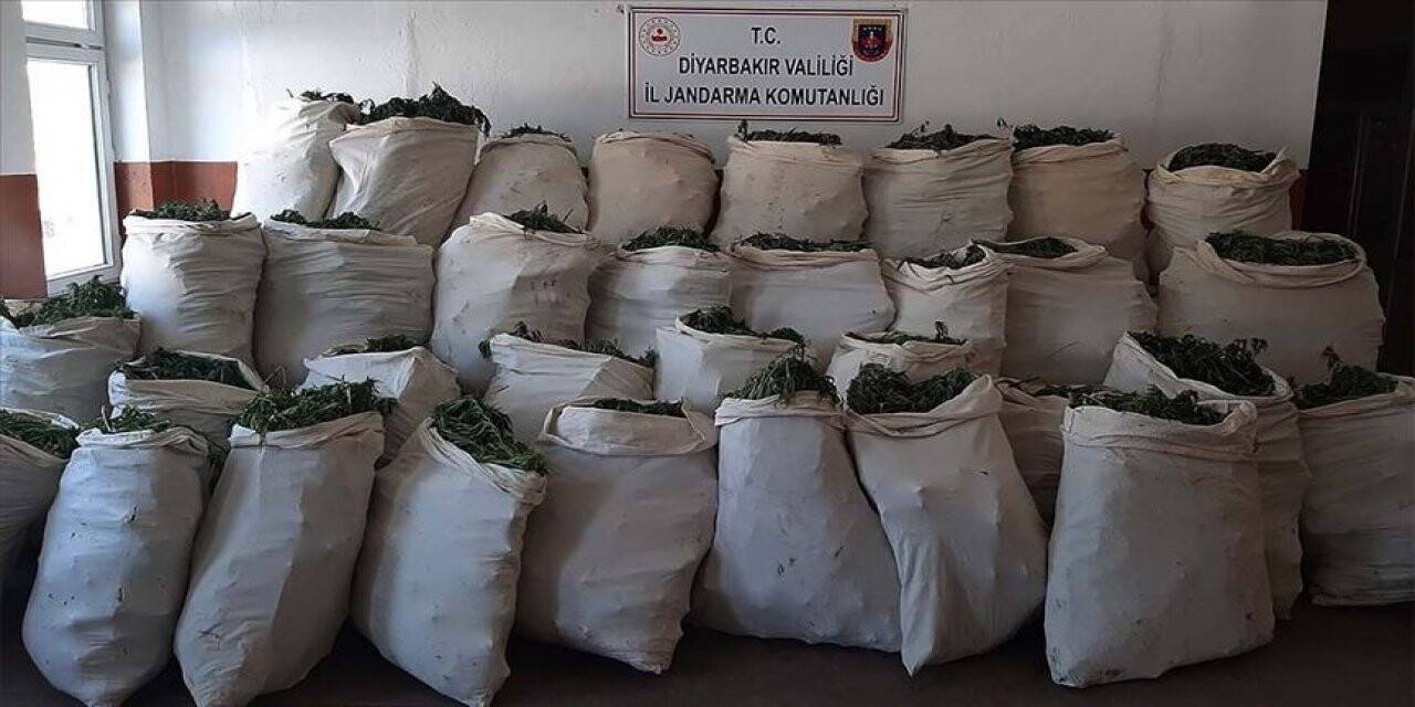 Diyarbakır'ın Lice ilçesinde 5 ton 81 kilogram esrar, 14 milyon 169 bin 150 kök kenevirin ele geçirildi