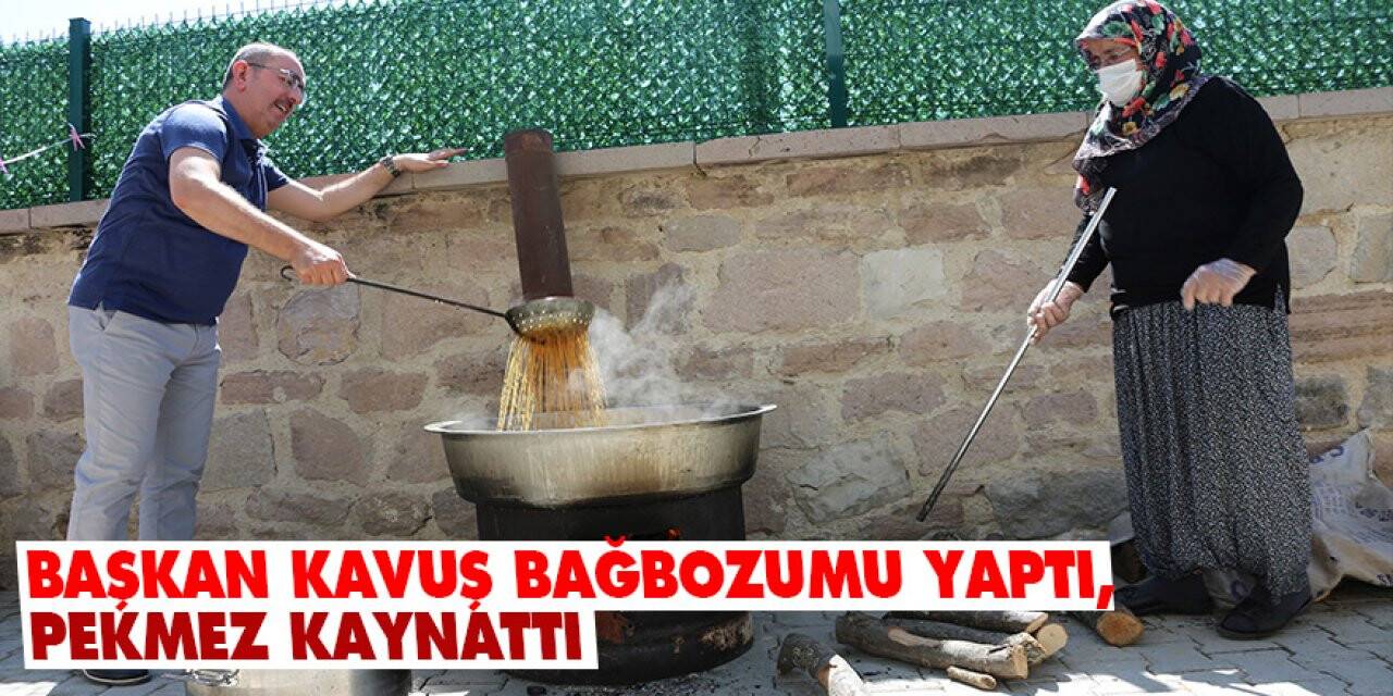 Başkan Kavuş bağbozumu yaptı, pekmez kaynattı