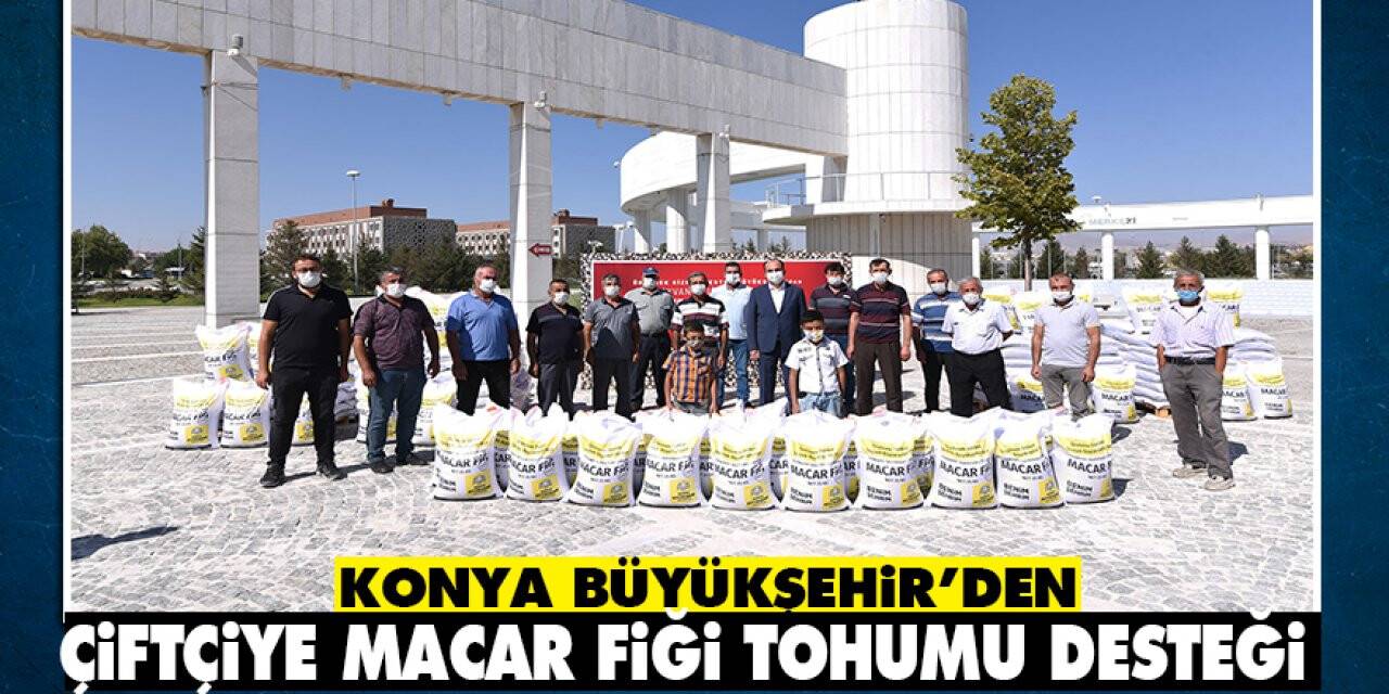 Konya Büyükşehir’den çiftçiye Macar fiği tohumu desteği