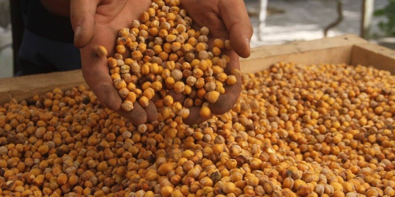 Nohudun meşe ateşinde başlayan yolculuğu