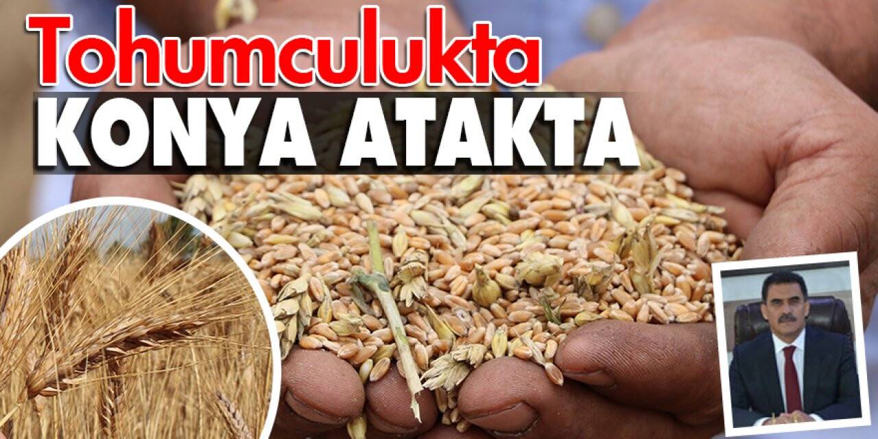 Tohumculukta Konya Atakta