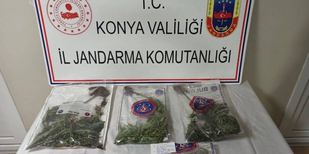 Konya’da kenevir operasyonu