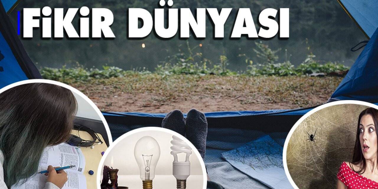 Fikir Dünyası