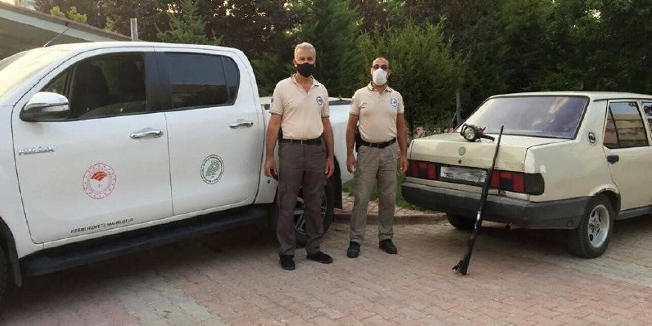 Far ışığıyla avcılığa ceza