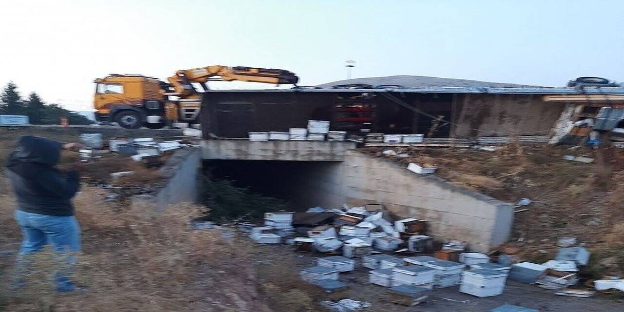 Konya'da kovan yüklü tır kaza yaptı: Arılar telef oldu
