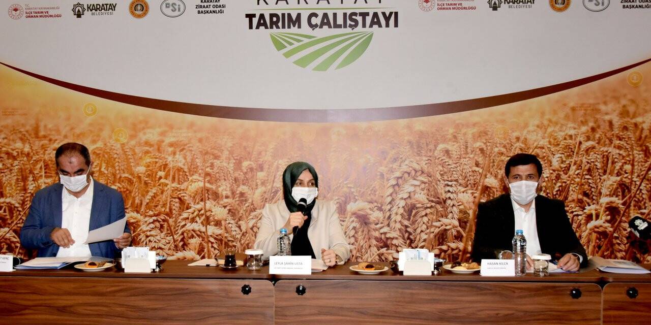 Karatay'ın tarımı masaya yatırıldı