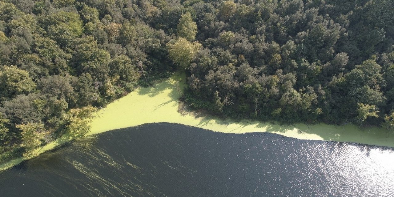 İstanbul’da ki Elmalı Barajı’nın suyu yine yeşile döndü