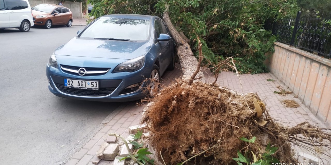 Konya’da fırtınada devrilen ağaçtan şans eseri kurtuldu