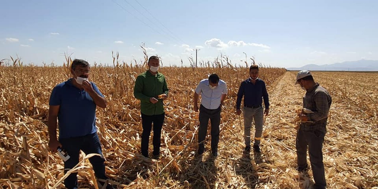Konya'da fırtınada zarar gören tarım alanları incelendi