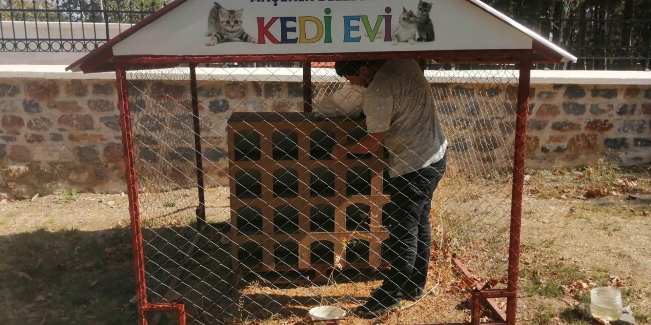 Akşehir Belediyesi sokak hayvanlarını beslemeyi sürdürüyor