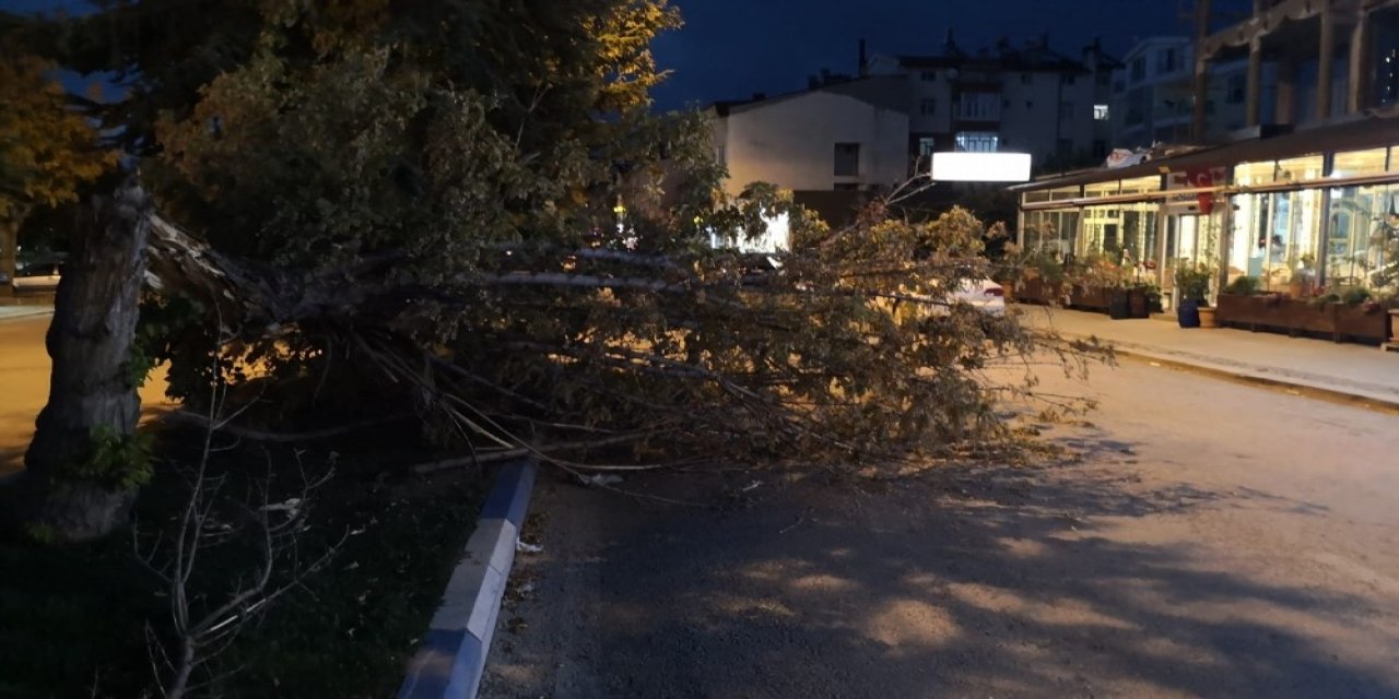 Konya’da fırtına ağaçları devirdi