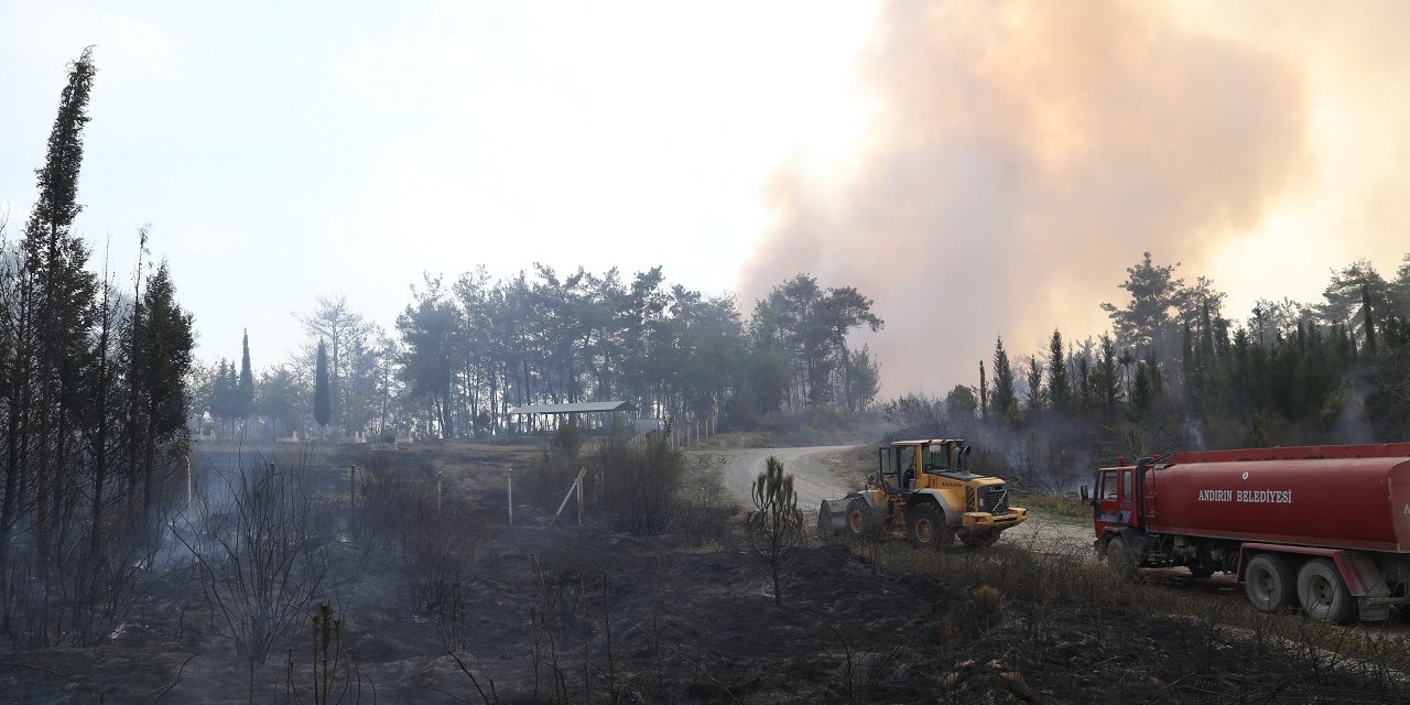 Kahramanmaraş'ta orman yangını! Söndürme çalışmaları sürüyor